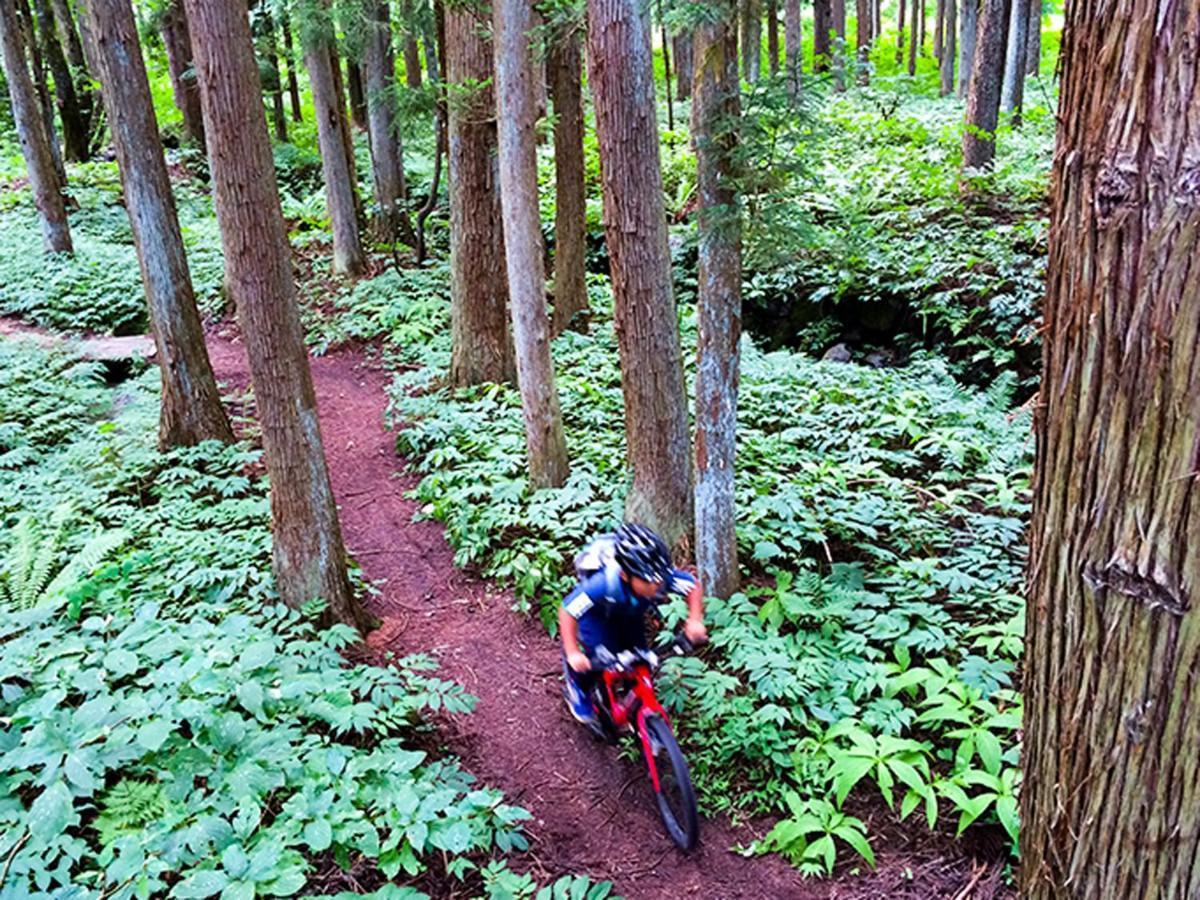 Cottage Yamajyu Hakuba Eksteriør bilde